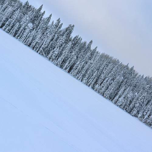 Photo #10154060