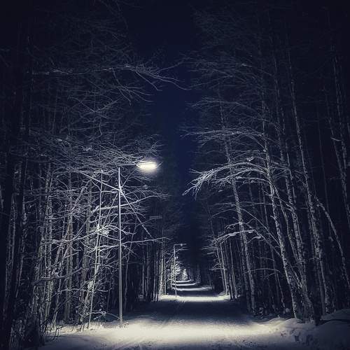 Photo #10154231
