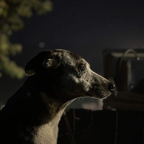 Photo #10154561