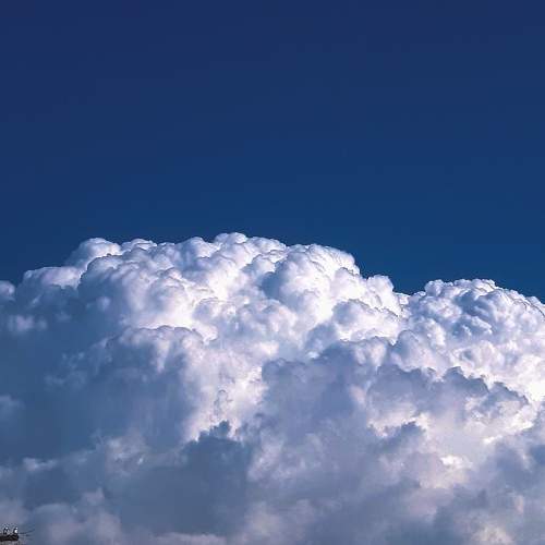 Photo #10154581