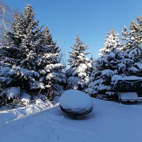 Photo #10155626