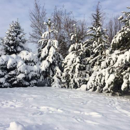 Photo #10155629