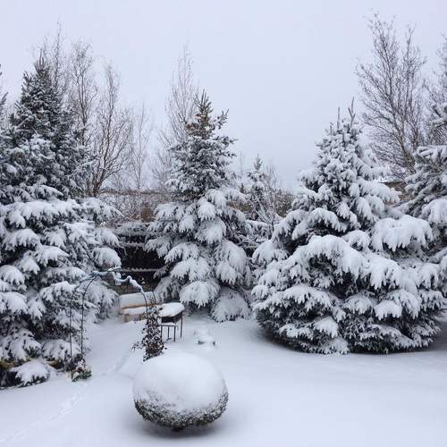 Photo #10155637