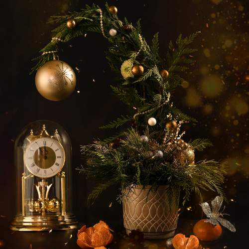 Фотография #10155842