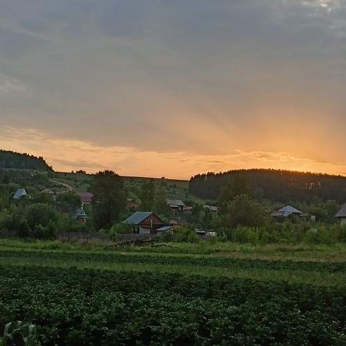 Photo #10156381