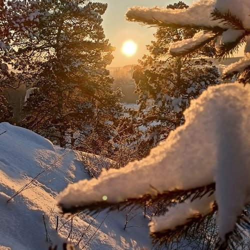 Photo #10156466