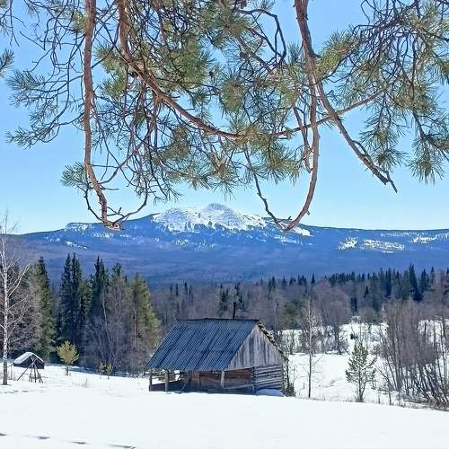 Photo #10156474
