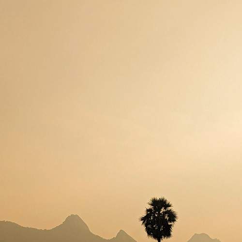 Photo #10156495