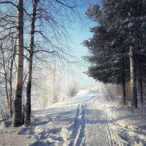 Photo #10156510