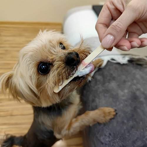 Photo #10156777