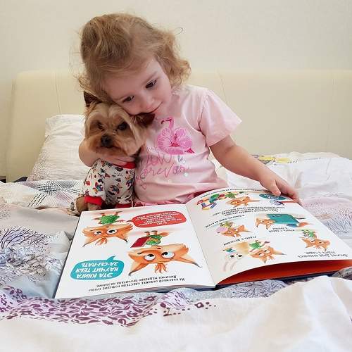 Photo #10156841