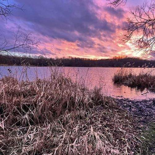 Photo #10157022