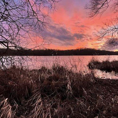 Photo #10157023