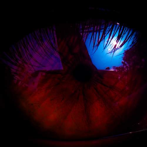 Photo #10157375