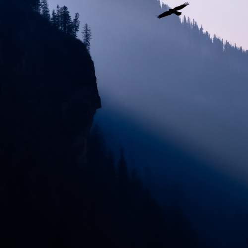 Photo #10157378