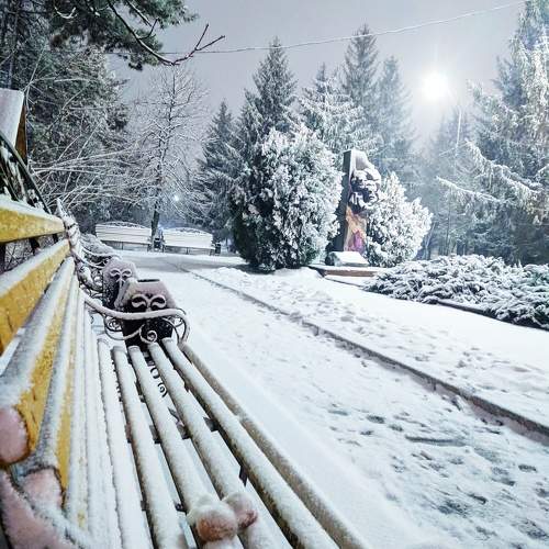 Photo #10157483