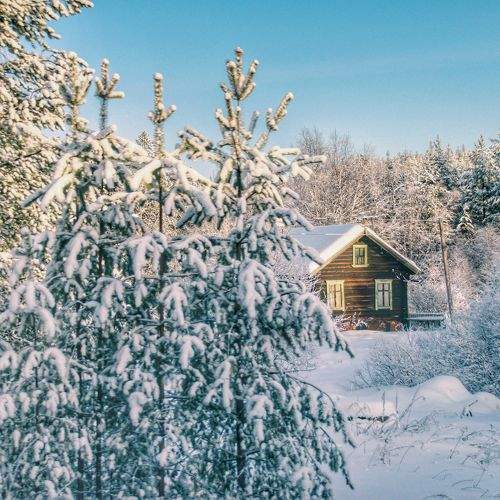 Photo #10157515