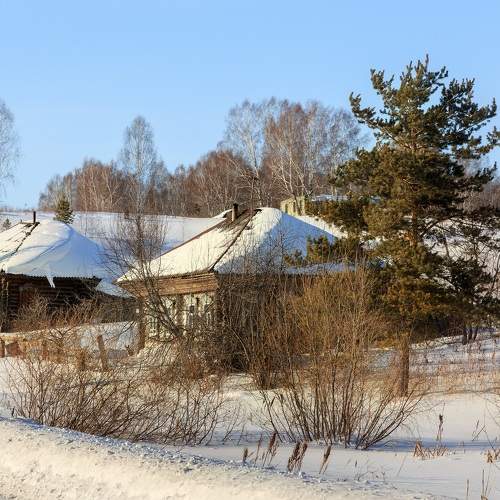 Photo #10157522