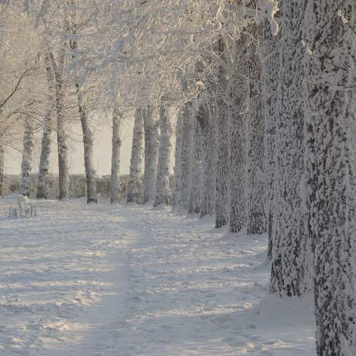 Photo #10158201