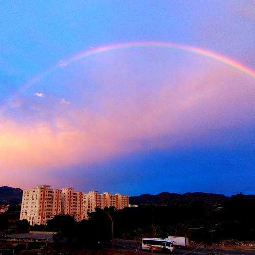 Photo #10158626