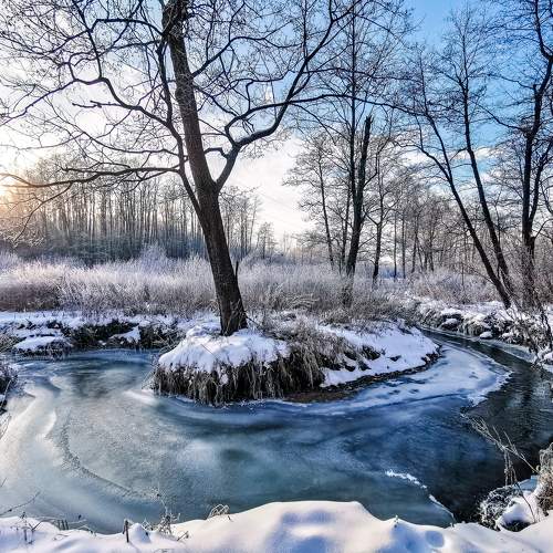 Photo #10158719