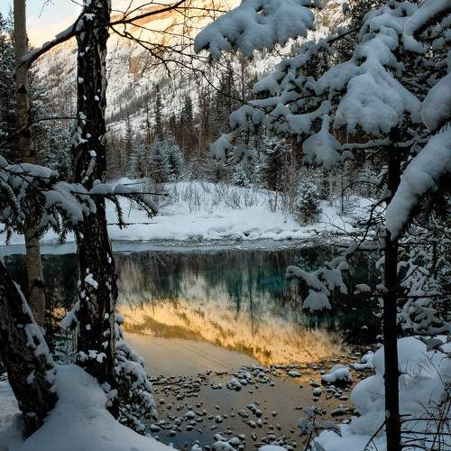 Photo #10158732