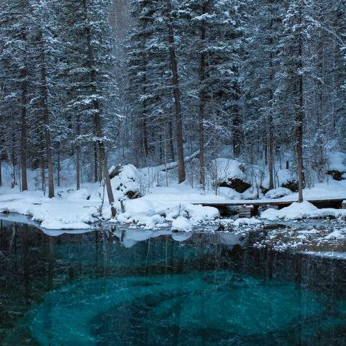 Photo #10158735