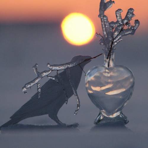 Photo #10158777
