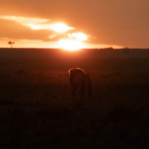 Photo #10158907