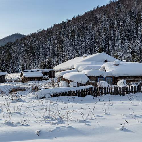 Photo #10159066