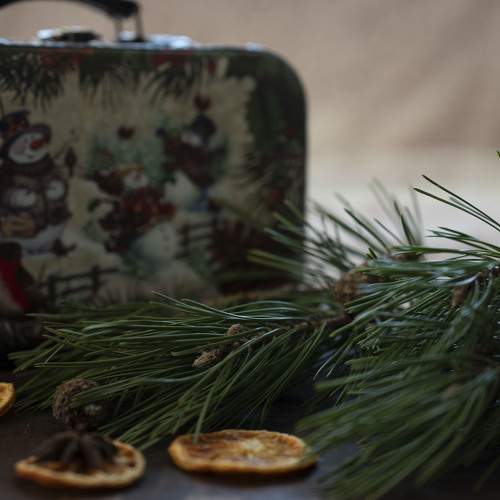 Photo #10159294