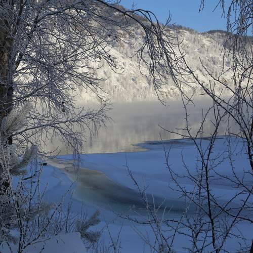 Photo #10159482