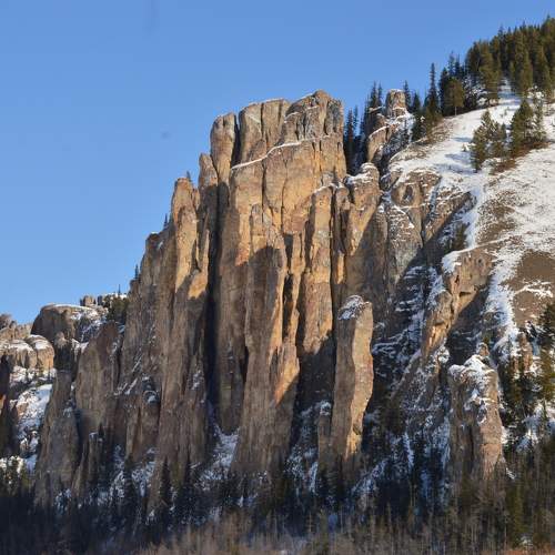 Photo #10159518