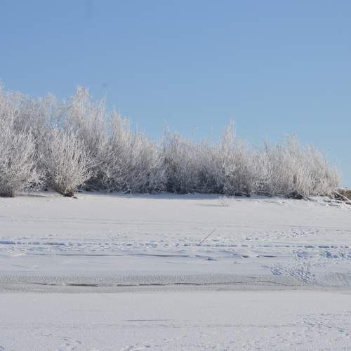 Photo #10159520