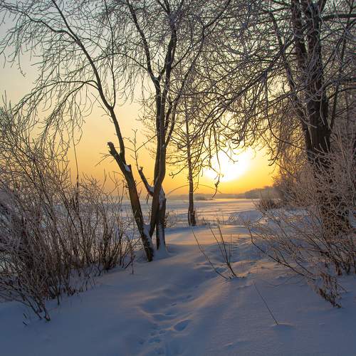 Photo #10159539
