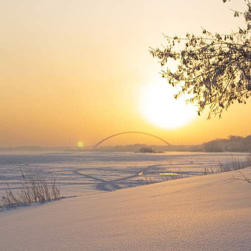 Photo #10159548