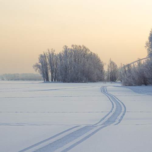 Photo #10159550