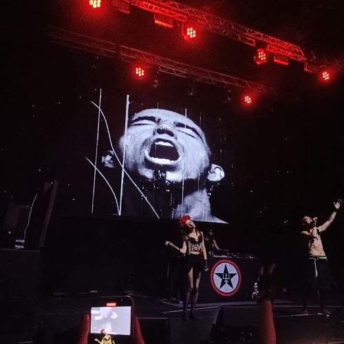 Photo #10159588