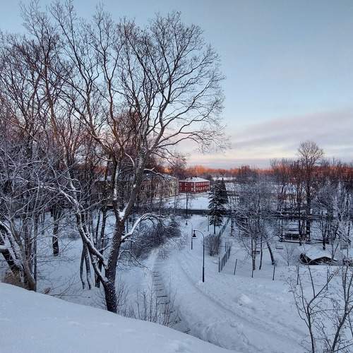 Photo #10159930