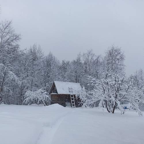 Photo #10159960
