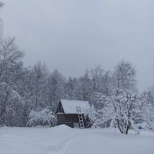 Photo #10159966