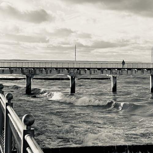 Photo #10160027