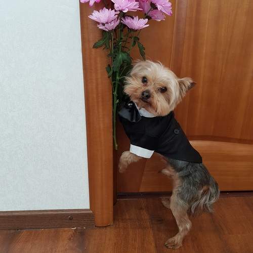 Photo #10160034