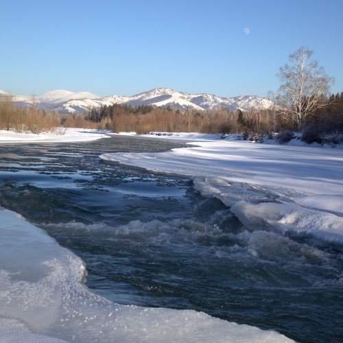 Photo #10160084