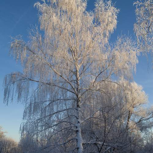 Photo #10160186