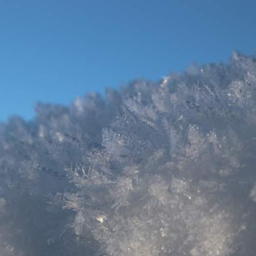 Photo #10160201