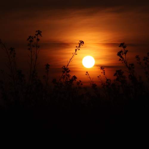 Photo #10160293