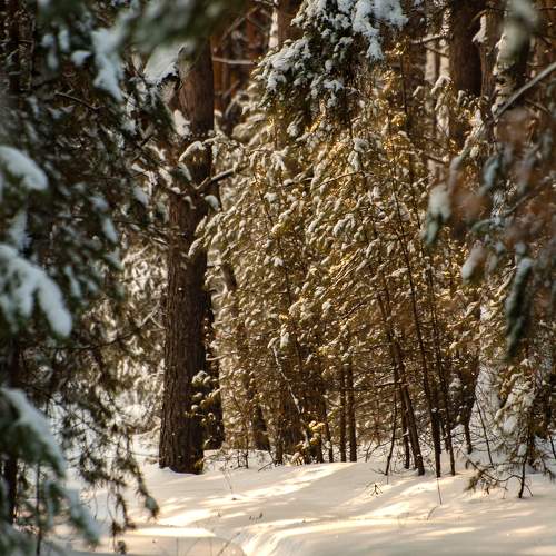 Photo #10160417