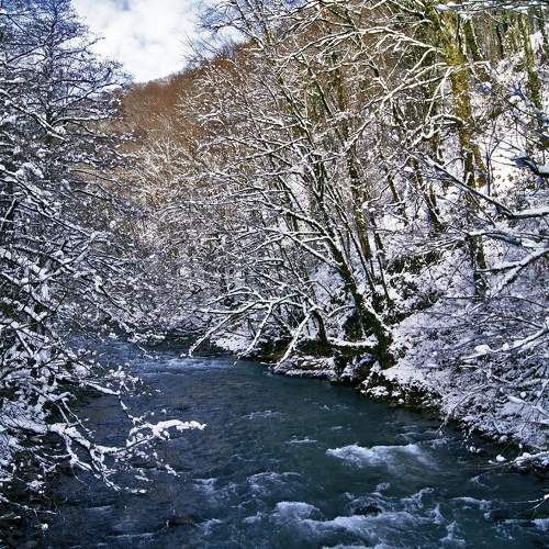 Photo #10160438