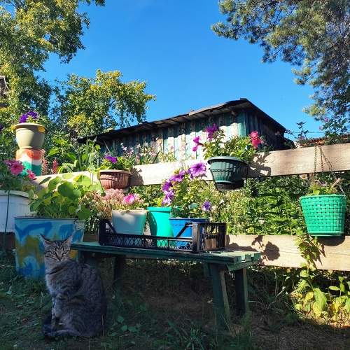 Photo #10160614